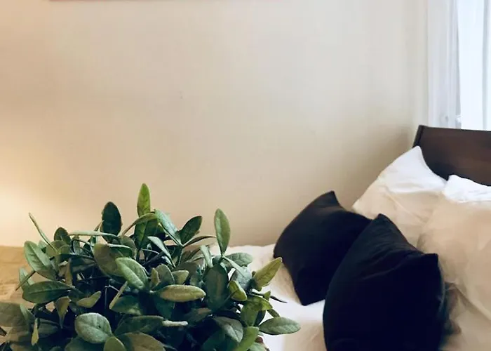 Brixton & Apartmán